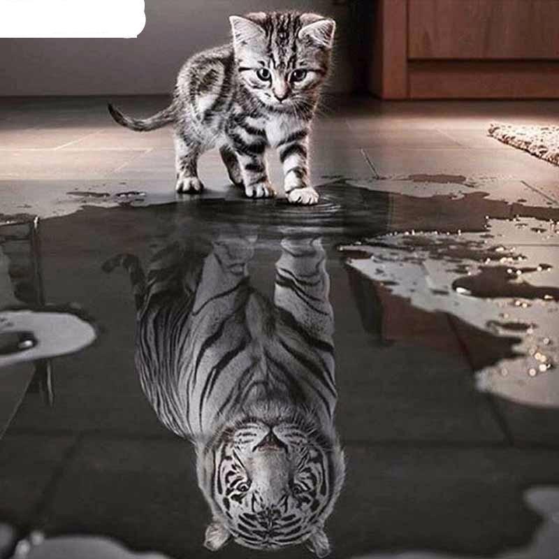 Reflection Kitty Tig...