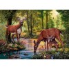 Parched Deers Paint By Diamond Kit