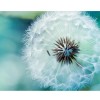 Dandelion 5D DIY Paint By Diamond Kit