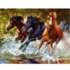 Full Square Horses 5D DIY Paint By Diamond Kit