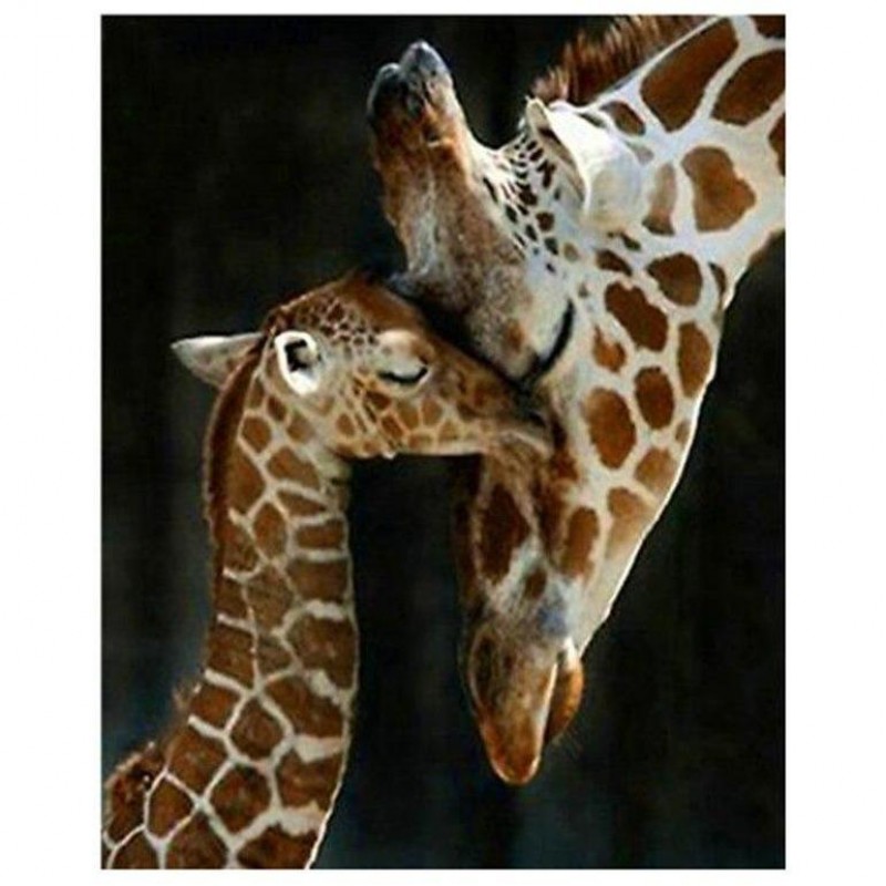 Giraffe Cross Stitch...