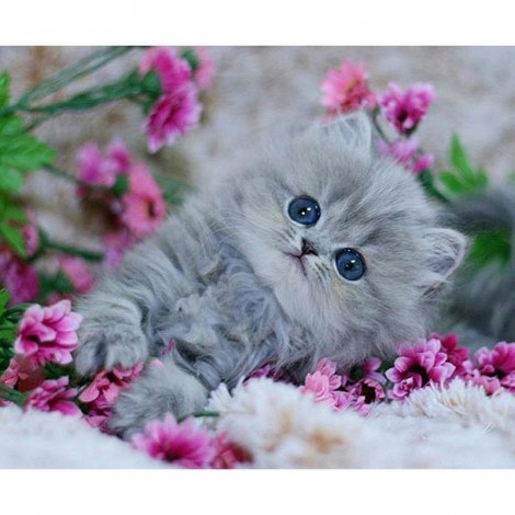 Cute Little Kitten 5D DIY Paint By Diamond Kit