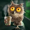 Owl Drinking Coffee 5D DIY Paint By Diamond Kit