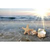 Starfish Beach 5D DIY Paint By Diamond Kit