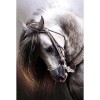 Majestic Horse 5D DIY Paint By Diamond Kit