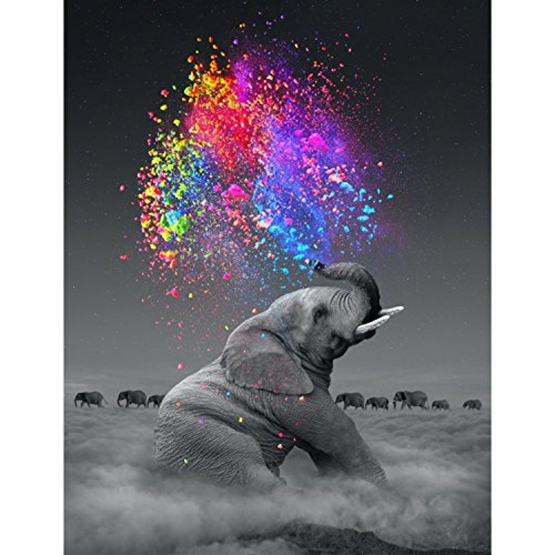 Elephants and Rainbo...